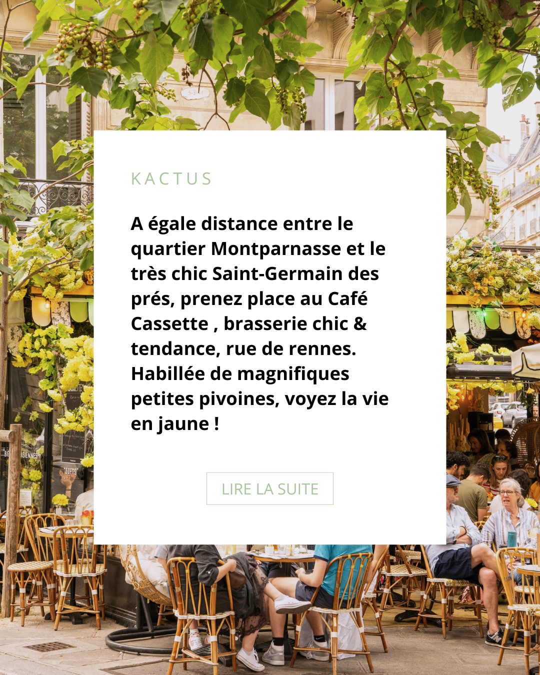 Café Cassette, photo 4