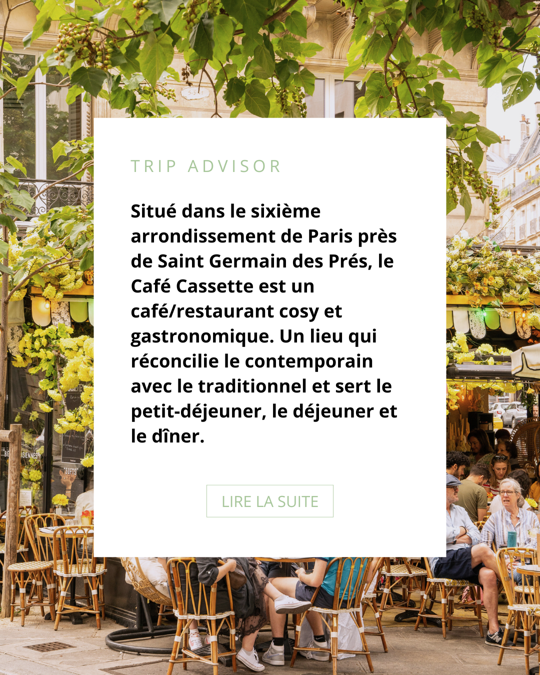 Café Cassette, photo 6